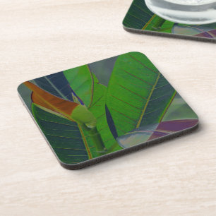 Porta-copo Folhas Verdes Close-Up