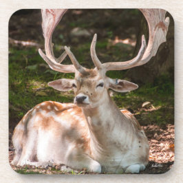 Porta-copo foto cervo sob as madeiras