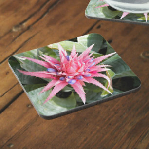 Porta-copo Foto da Flor da Fábrica de Prata Rosa