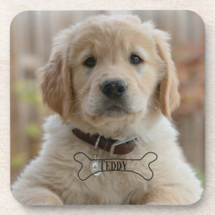 PORTA-COPO FOTO DE CACHORRINHO DE CÃO NOME OSSO MELHOR MÃE PA