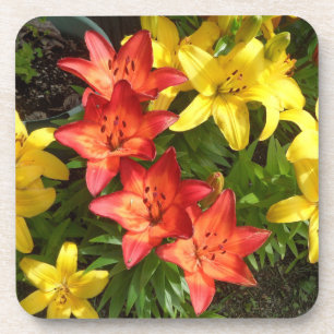 Porta-copo Foto de lírio de flores amarelas e vermelhas dese