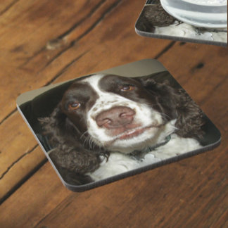 Porta-copo Foto de Pet do Spinger Spaniel Inglês