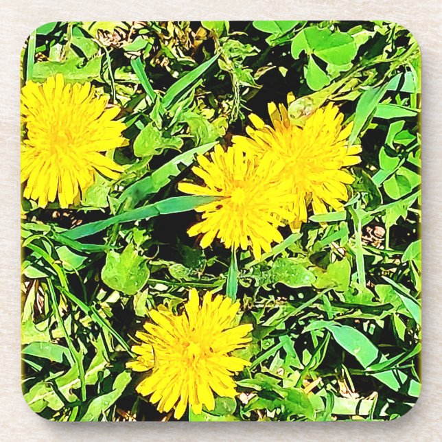 Porta-copo Foto dos Dandelions de Montanha. Comprar Agora (Frente)
