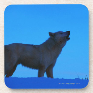 Porta-copo Foto, lobo branco que urra na noite, cor,