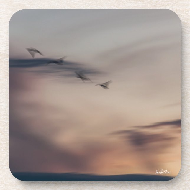 Porta-copo foto pássaros abstractos (Frente)