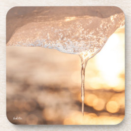 Porta-copo foto sol através do gelo