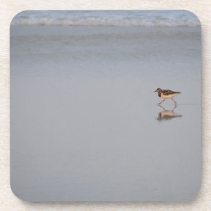 Porta-copo Fotografia da natureza da vida selvagem de Sandpip