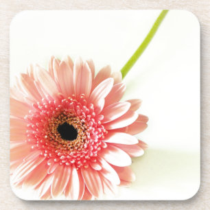 Porta-copo Fotografia de Gerbera Daisy Rosa Fresca