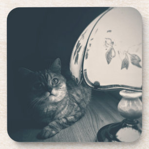 Porta-copo Fotografia do estilo do gato e da lâmpada