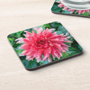 Porta-copo Fotografia Rosa Dahlia, Beleza Canadiana