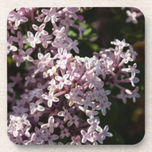 Porta-copo Fragrante Lilac