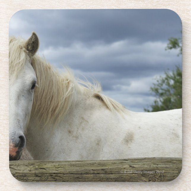 Porta-copo France (Frente)