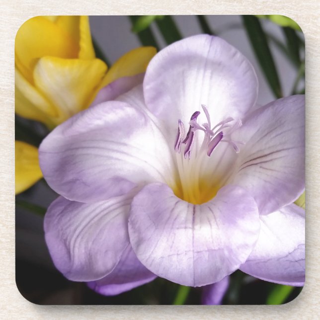 Porta-copo freesia violeta aberta (Frente)