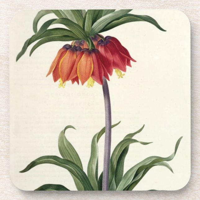 Porta-copo Fritillaria Imperialis de, "Les Lilacees", 1802- (Frente)
