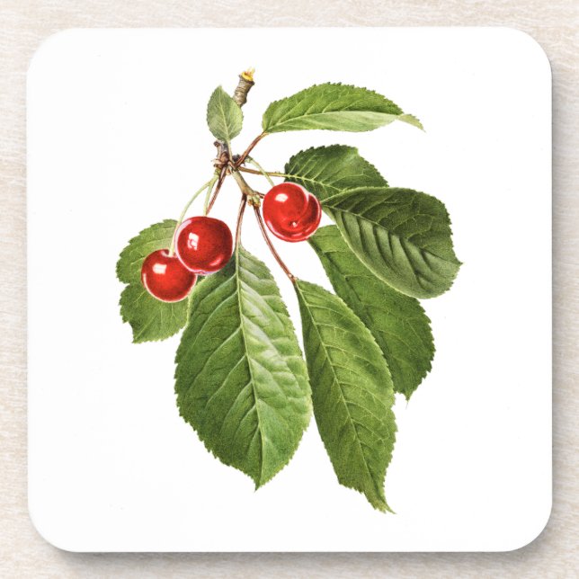 Porta-copo Frutas: A015 Cherry - (Frente)