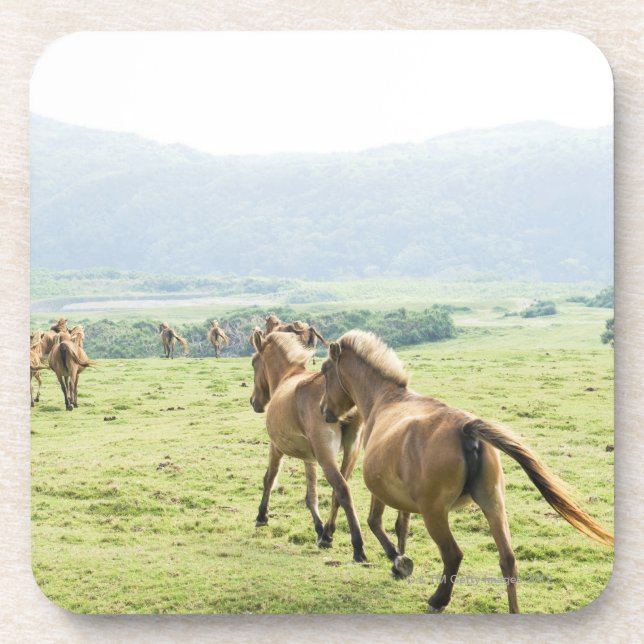 Porta-copo Funcionamento dos cavalos (Frente)