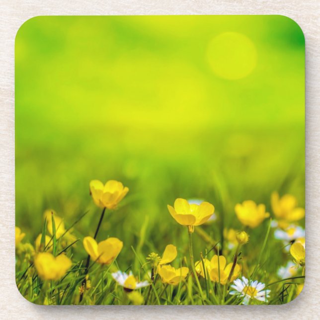 Porta-copo Fundo de Flores de Primavera (Frente)