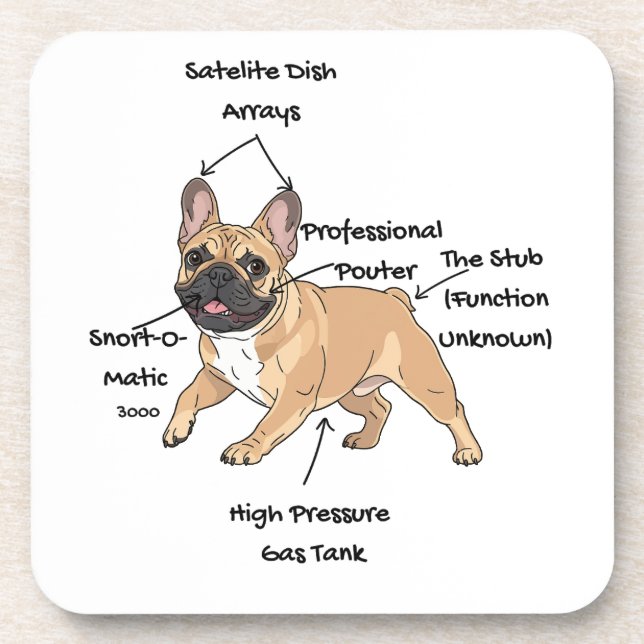 Porta-copo Funny Anatomy of a French Bulldog Illustration (Frente)