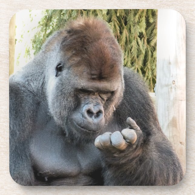 PORTA-COPO FUNNY GORILLA (Frente)