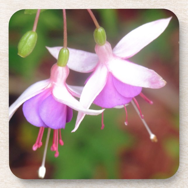 Porta-copo Fuschia Flowers (Frente)