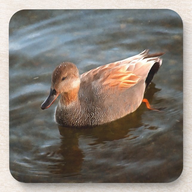 Porta-copo Gadwall Duck Drake no lago (Frente)