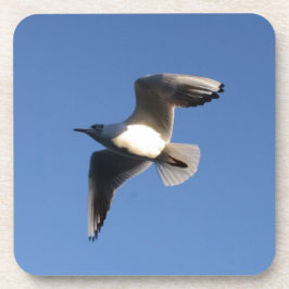 Porta-copo Gaivota-pequena