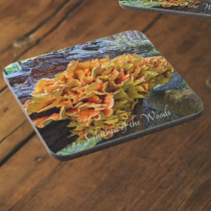 Porta-copo Galinha da Floresta Foto Botânica de Cogumelo