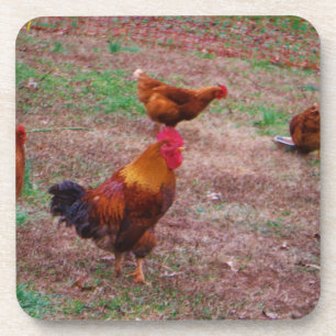 Porta-copo Galo e suas galinhas