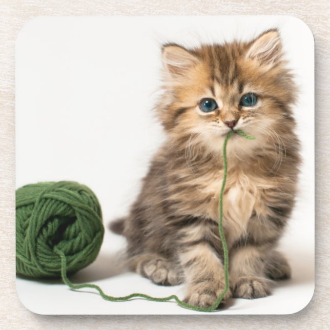 Porta-copo Gatinho com fio verde (Frente)