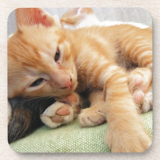 Porta-copo Gatinho De Gelado De Tigre (Frente)