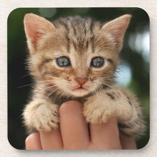 Porta-copo Gatinho doce do bebê (Frente)