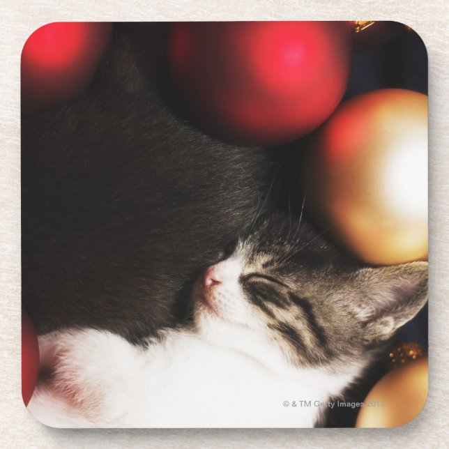 Porta-copo Gatinho dormindo em decoração (Frente)