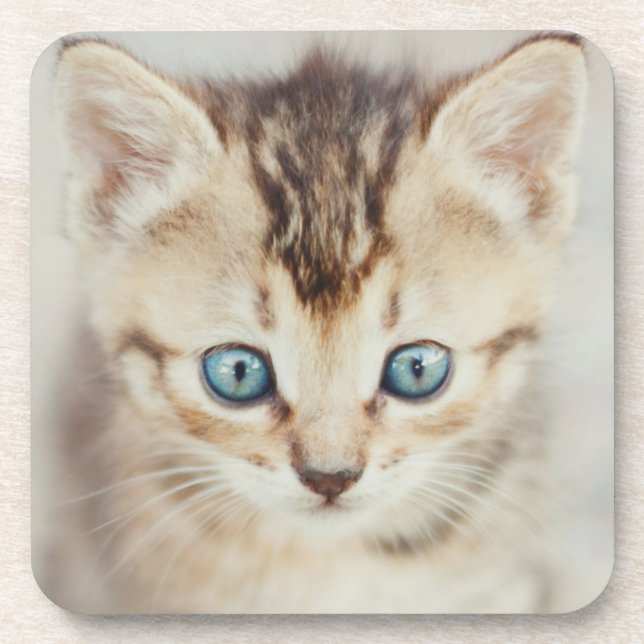 Porta-copo Gatinho Eyed azul (Frente)