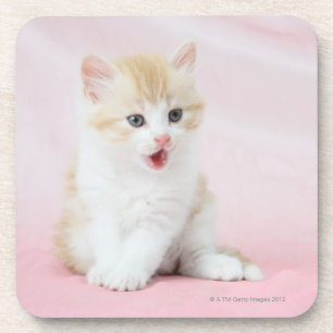 Porta-copo Gatinho no fundo cor-de-rosa