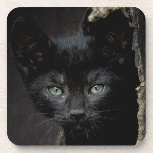Porta-copo Gatinho preto pequeno