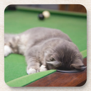 Porta-copo Gatinho que joga a piscina