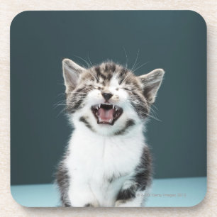 Porta-copo Gatinho que meowing