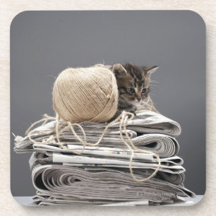 Porta-copo Gatinho que senta-se na pilha dos jornais