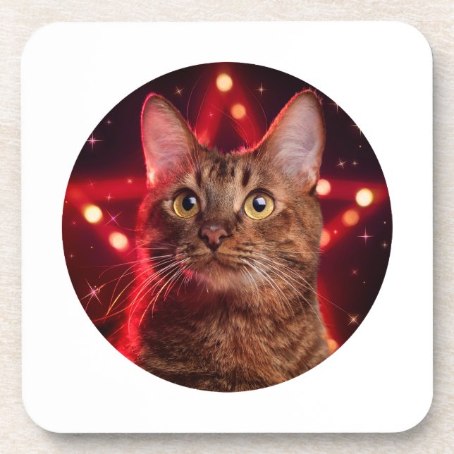 Porta-copo Gato Castanho De Havana (Raça Com Fundo De Estrelo (Frente)