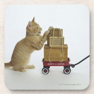 Porta-copo Gato com vagão e caixas