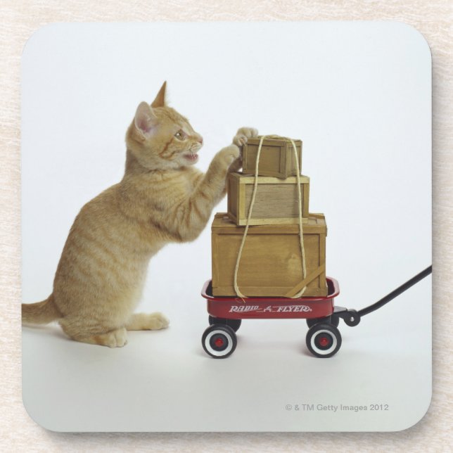 Porta-copo Gato com vagão e caixas (Frente)