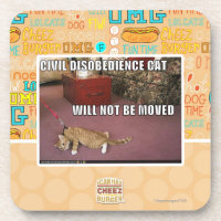 Gato da desobediência civil