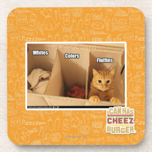 Porta-copo Gato da lavanderia