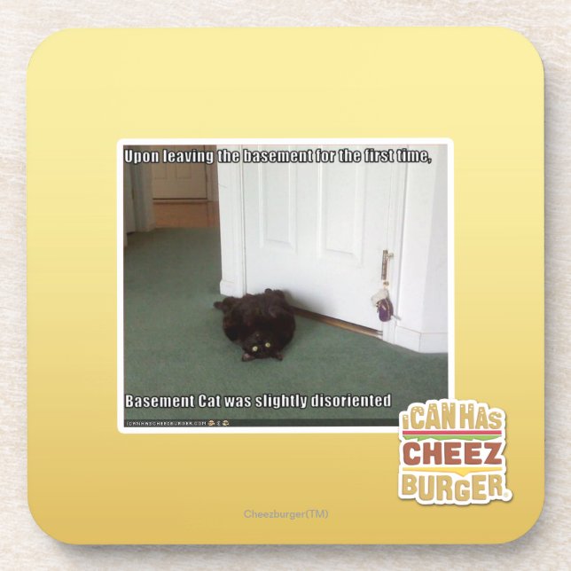 Porta-copo Gato do porão, desorientado leve (Frente)