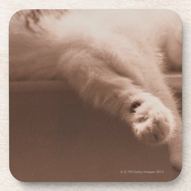 Porta-copo Gato do sono (Frente)