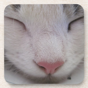 Porta-copo Gato Dormindo