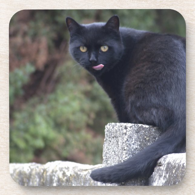 Porta-copo Gato Negro (Frente)