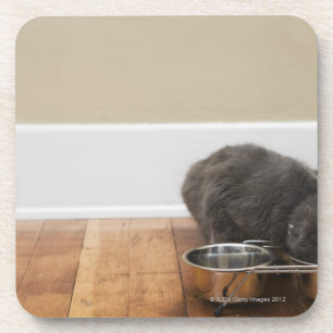 Porta-copo Gato que come da bacia