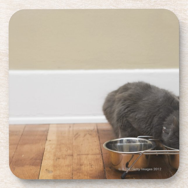 Porta-copo Gato que come da bacia (Frente)