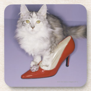 Porta-copo Gato que pisa no salto alto